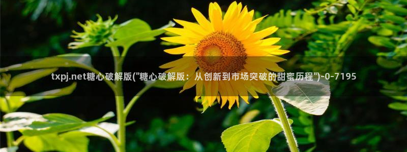 糖心vlogo