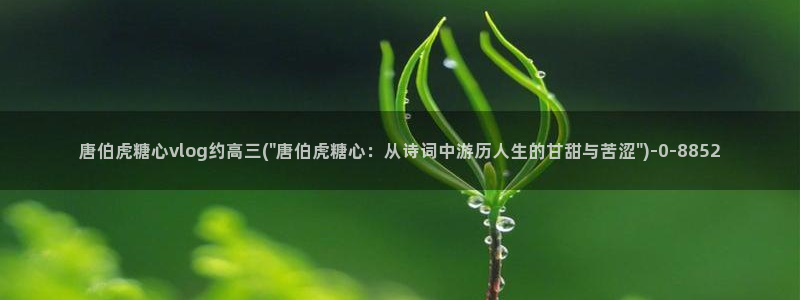 糖心vlog污ios