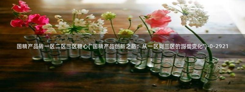糖心vlog在线免费下载：国精产品砖一区二区三区糖心(\