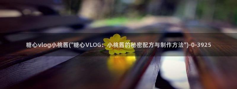 糖心 vlog下载