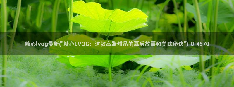 糖心vlog排行榜