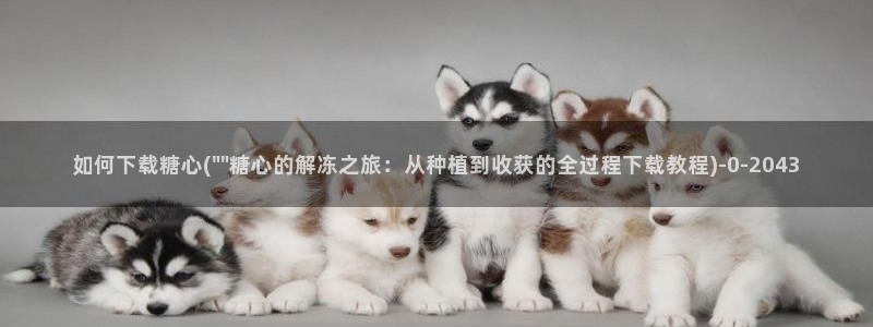 糖心vlog在线时间：如何下载糖心(\